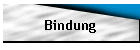 Bindung