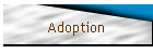 Adoption