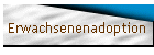 Erwachsenenadoption