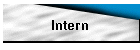 Intern