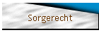 Sorgerecht